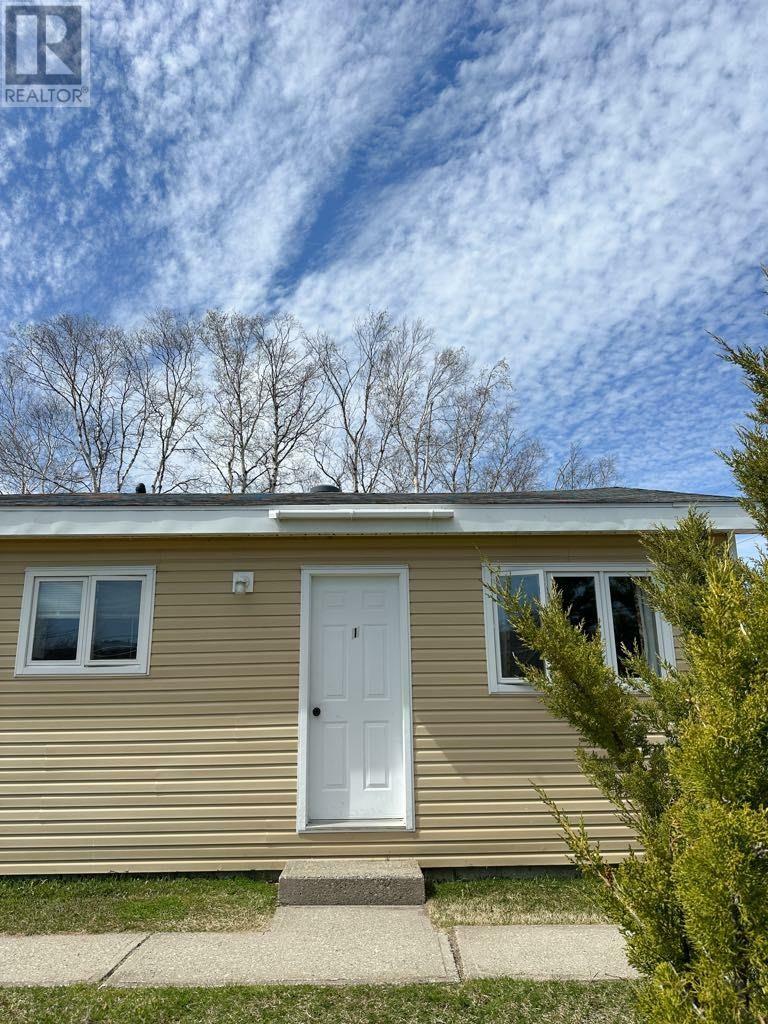 Property Photo: 93-97 North Main Street NL A8A 2J3