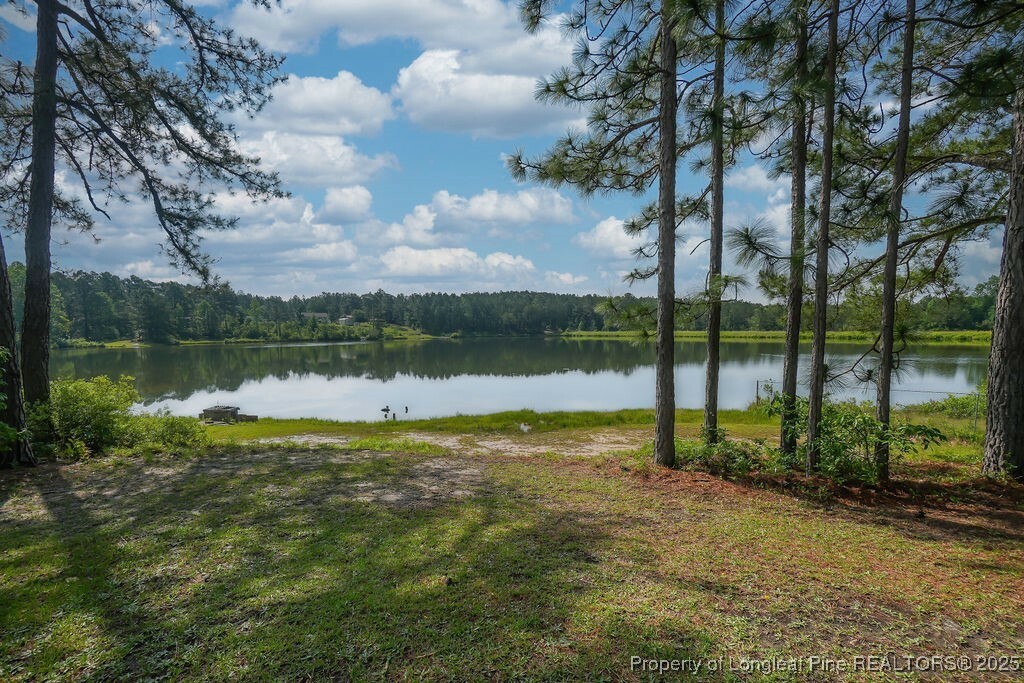 Property Photo: 155 Lake Heron Drive NC 28326