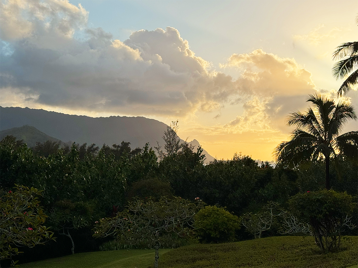 5380 Honoiki Rd F16  Princeville HI 96722 photo