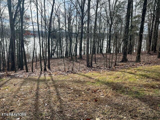 Property Photo: E Shore Lot 117 Drive TN 37854