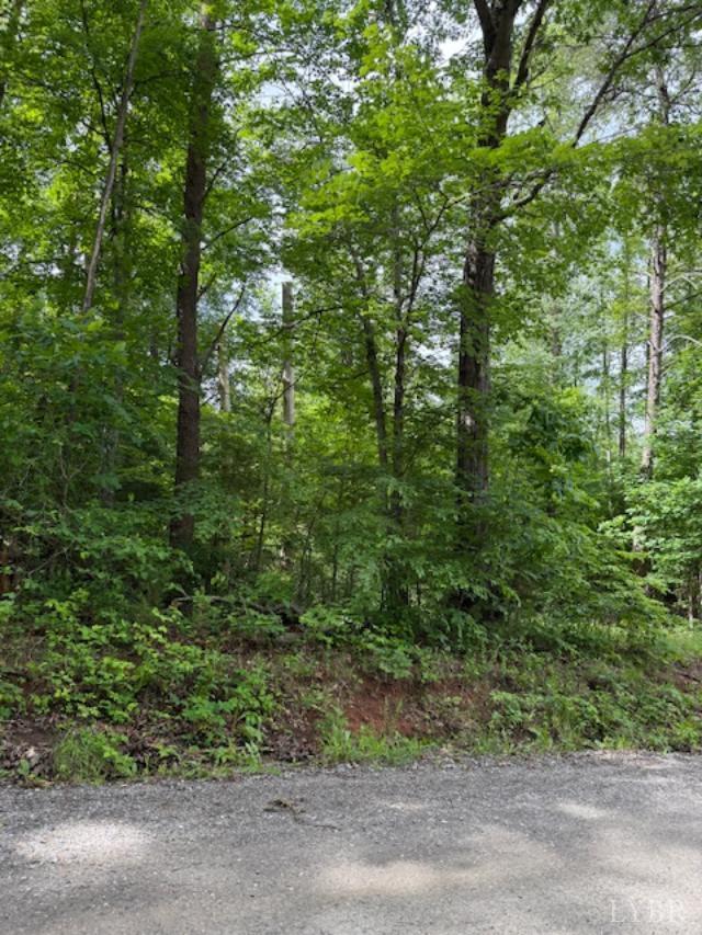Property Photo:  0 E. Pamplin Road  VA 23958 
