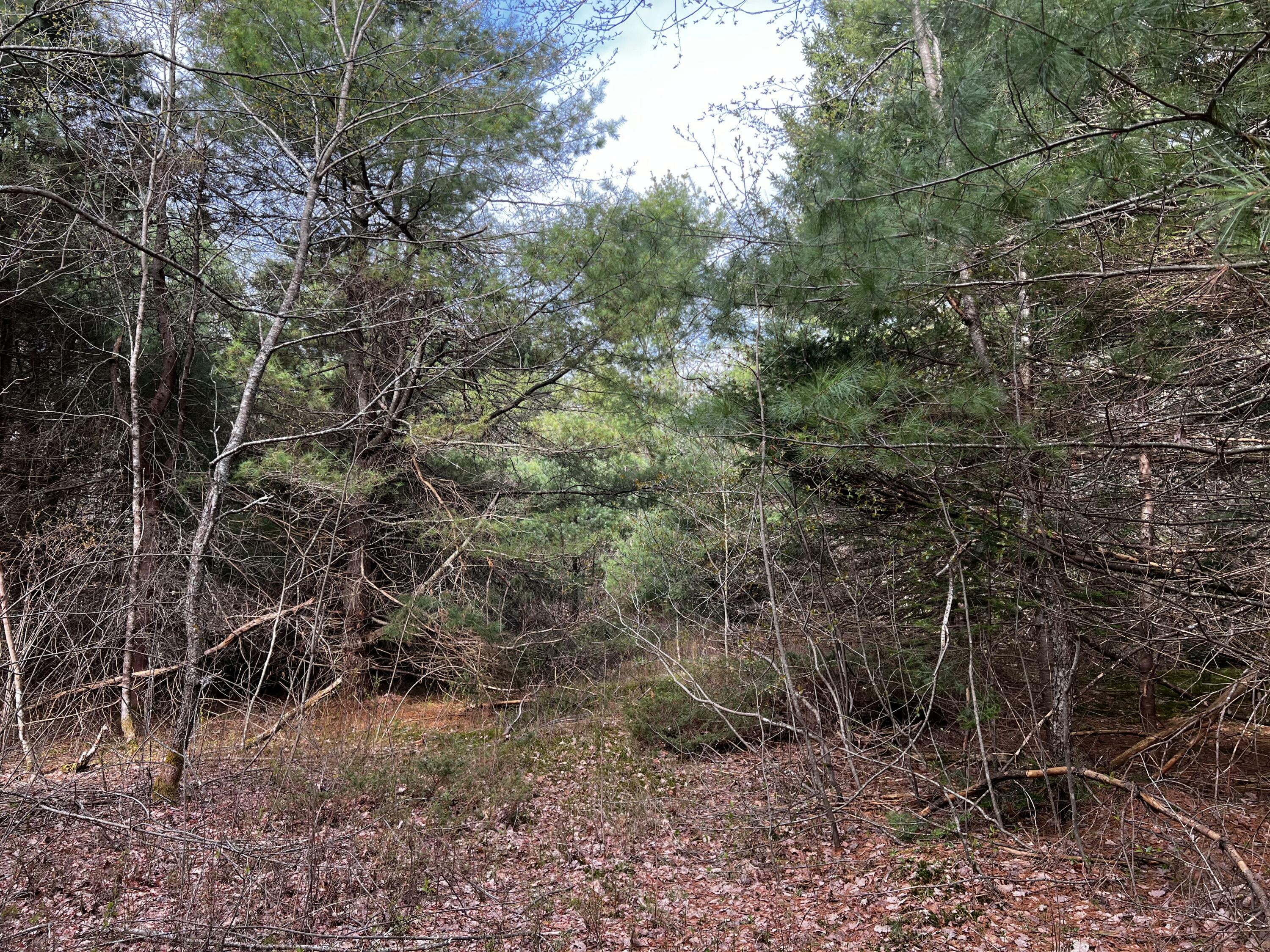 Property Photo: Lot 69 Campground Road ME 04974