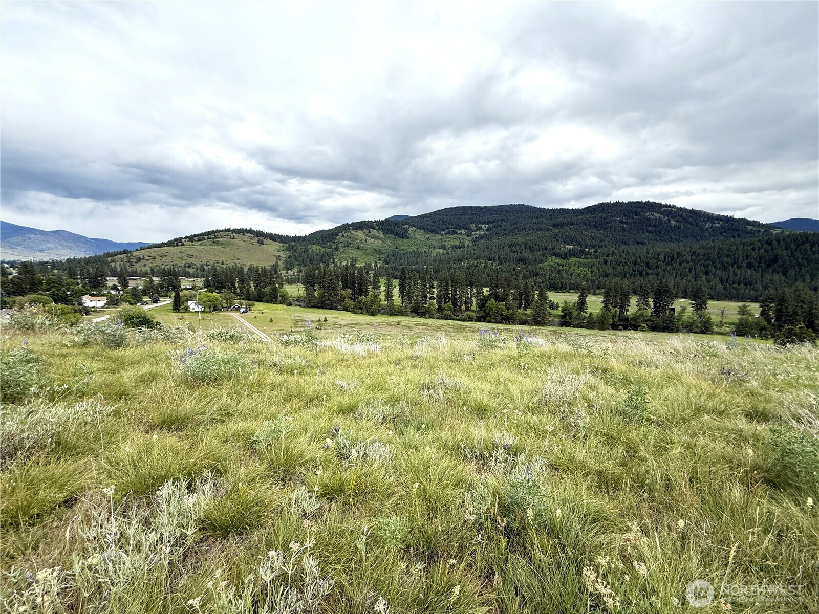 Property Photo:  19109  Highway 21  N  WA 99121 