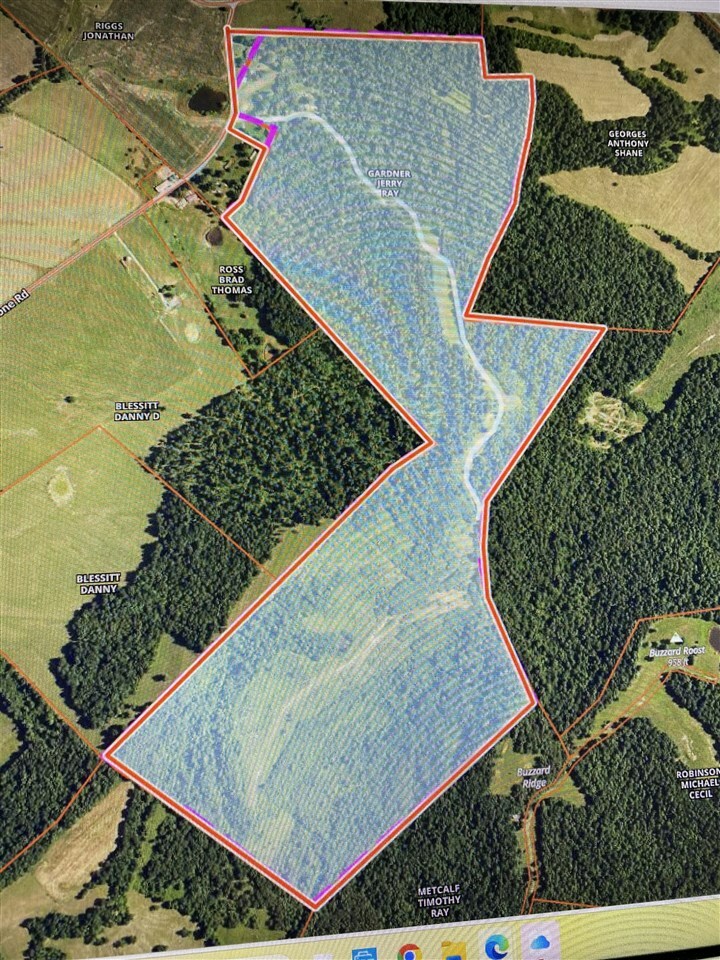Property Photo:  0 Levita Township Road  KY 42726 