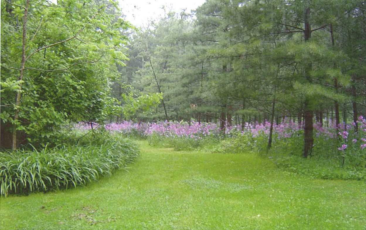 323 Forest Avenue  Green Lake WI 54941 photo