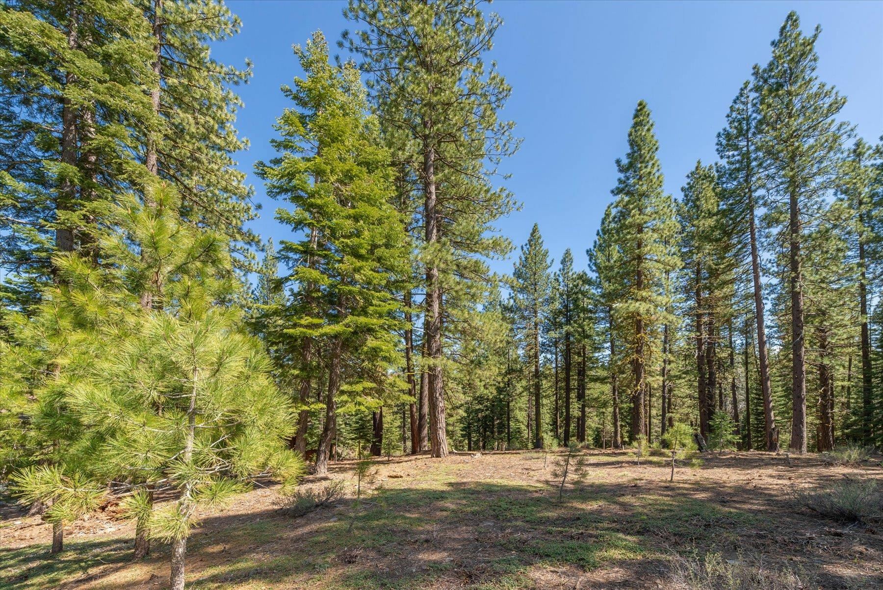 Property Photo: 12721 Granite Drive CA 96161