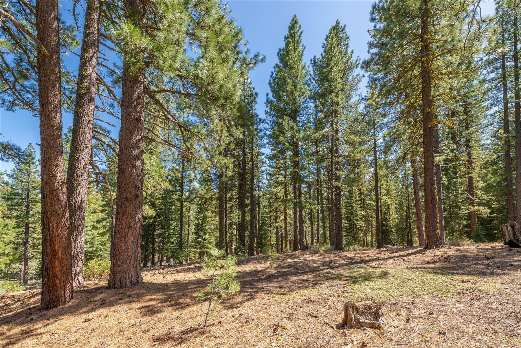 Property Photo:  12721 Granite Drive  CA 96161 