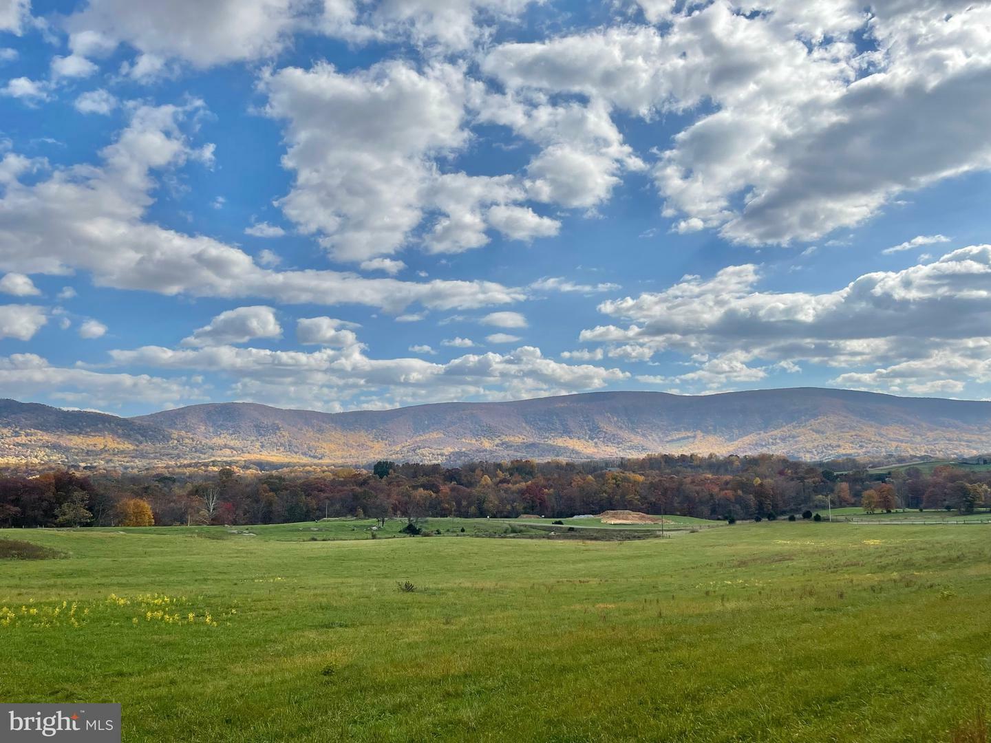 Property Photo: 63 Buck Mountain Road VA 22610