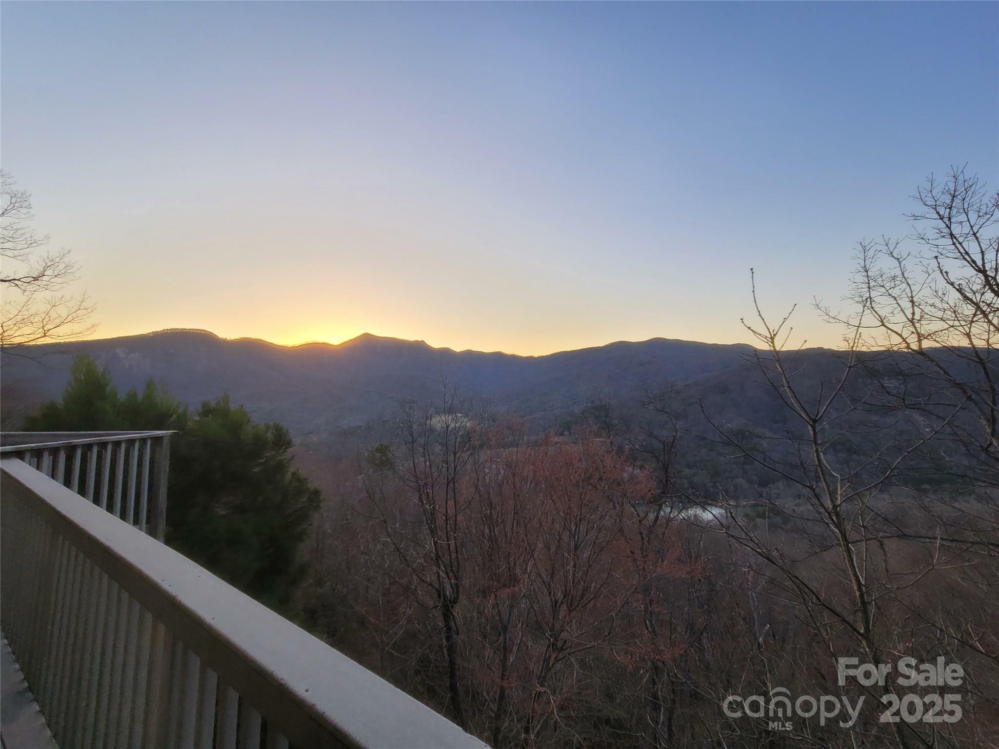 Property Photo: 698 Youngs Mountain Drive NC 28746