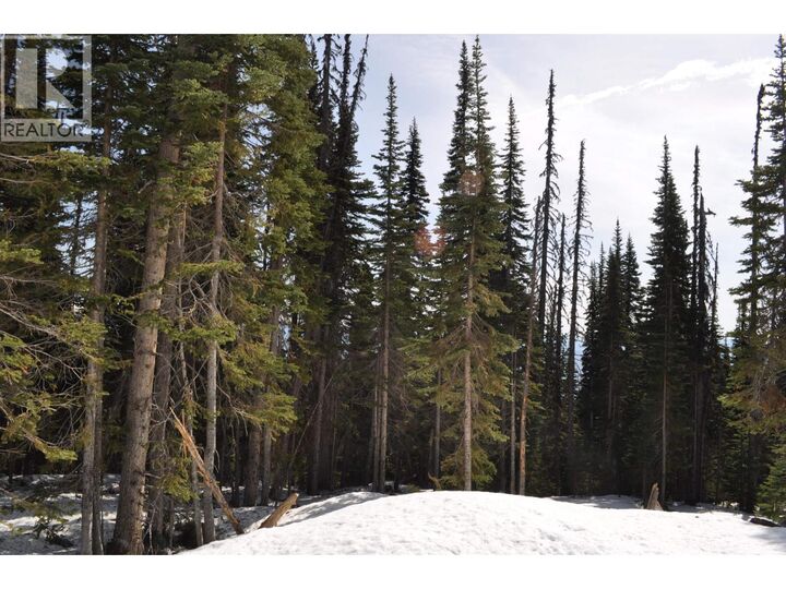 Property Photo:  Lt 11 Alpine Way Pr. St  BC V0J 2N0 