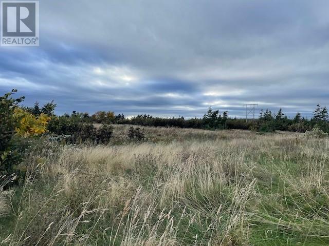 Photo de la propriété:  Lot 4 McIsaac'S Lane  NL A0N 1T0 