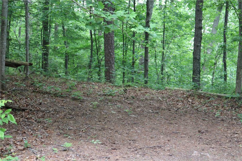 Property Photo: 49 Lake Top Drive SE GA 30121