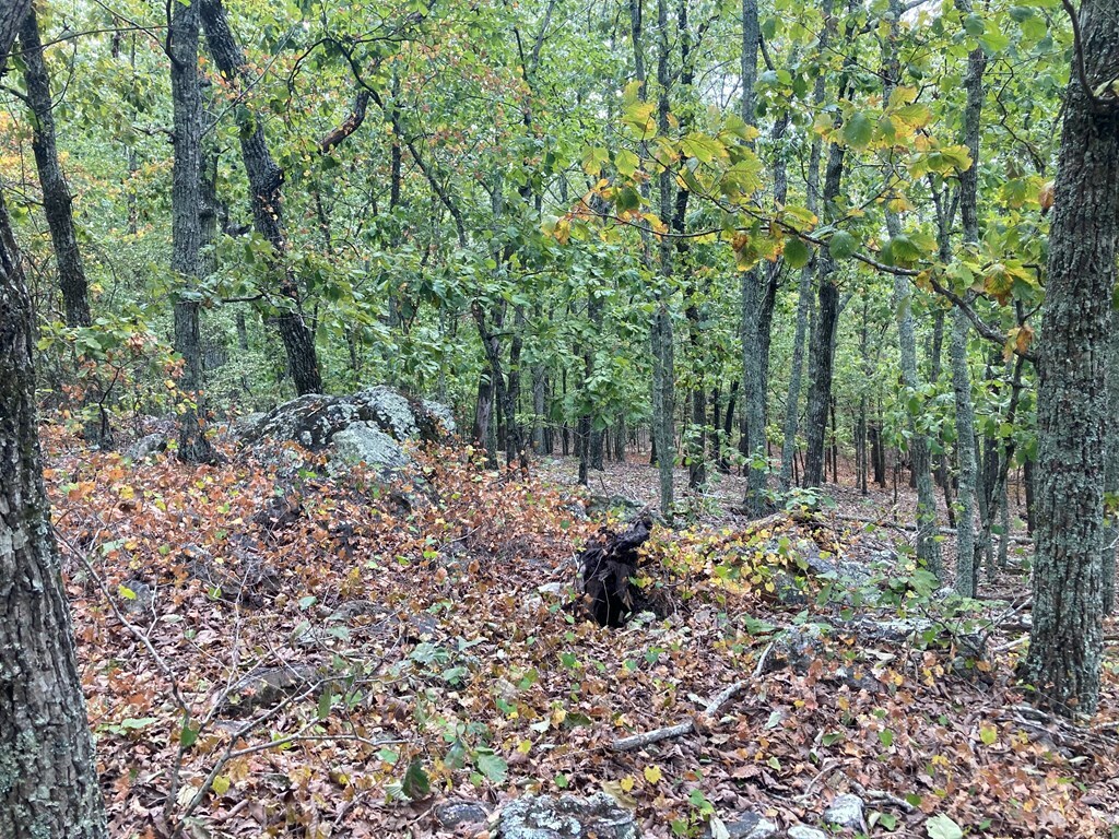 Property Photo:  27.2 Ac Barnes Mill Road  GA 31811 
