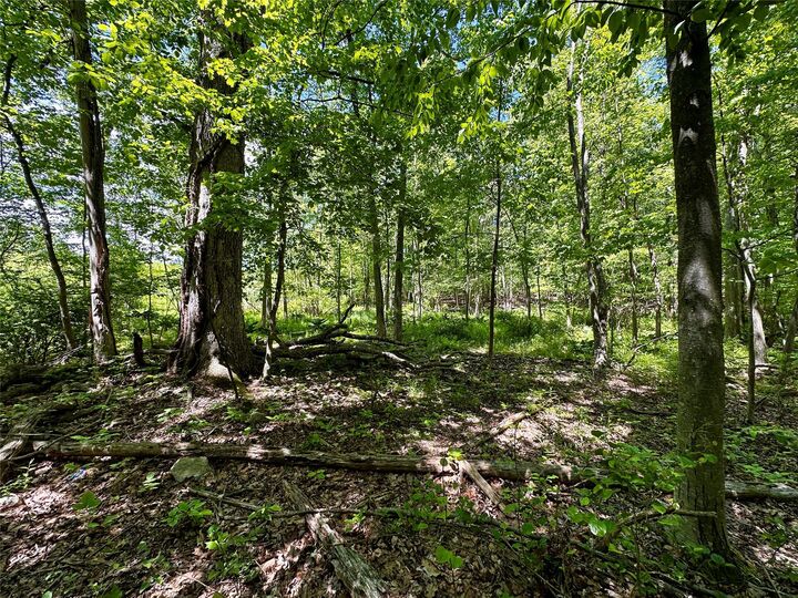 Property Photo: Rye Hill Road NY 10950