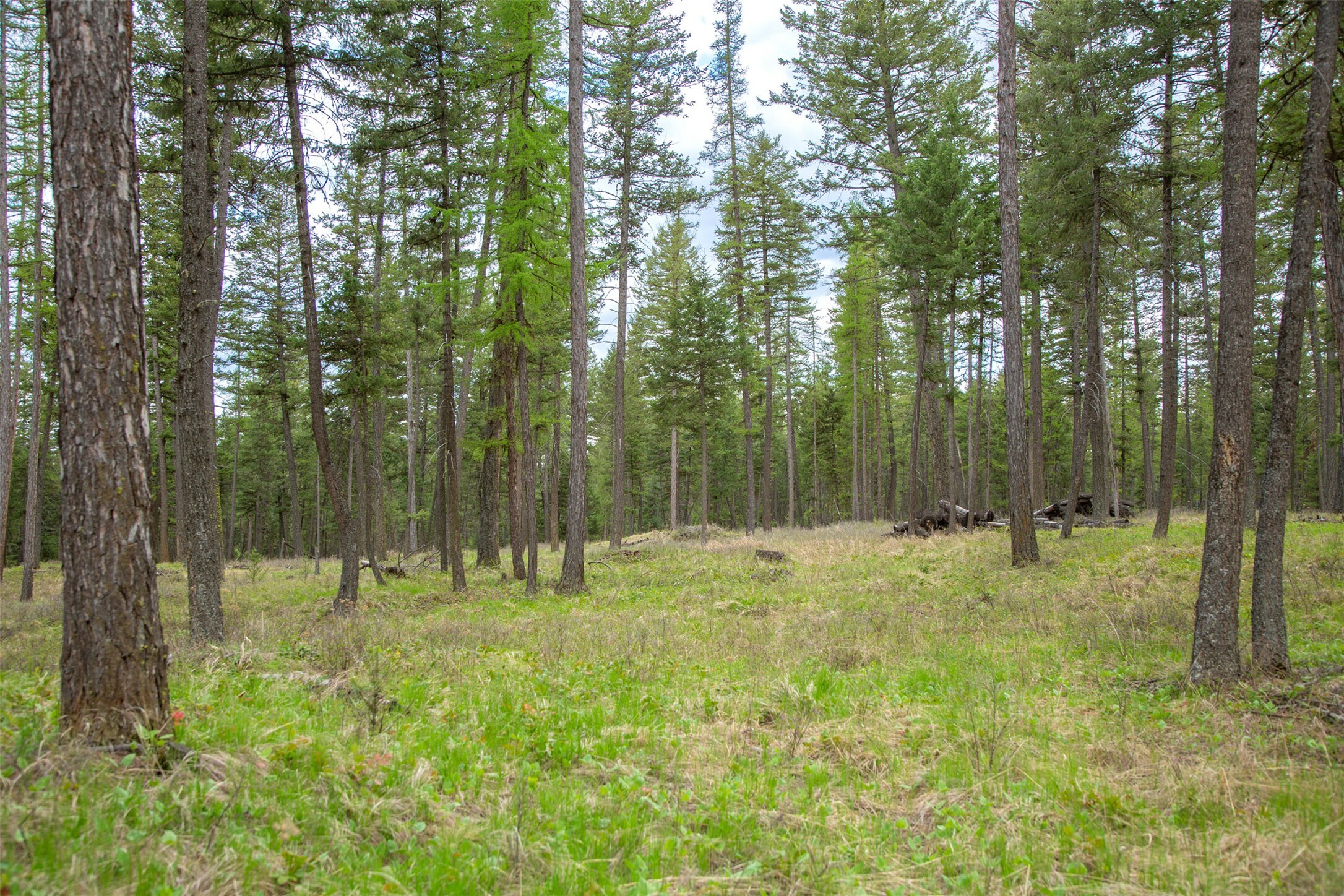 Property Photo: Nhn Bowdish Road MT 59901