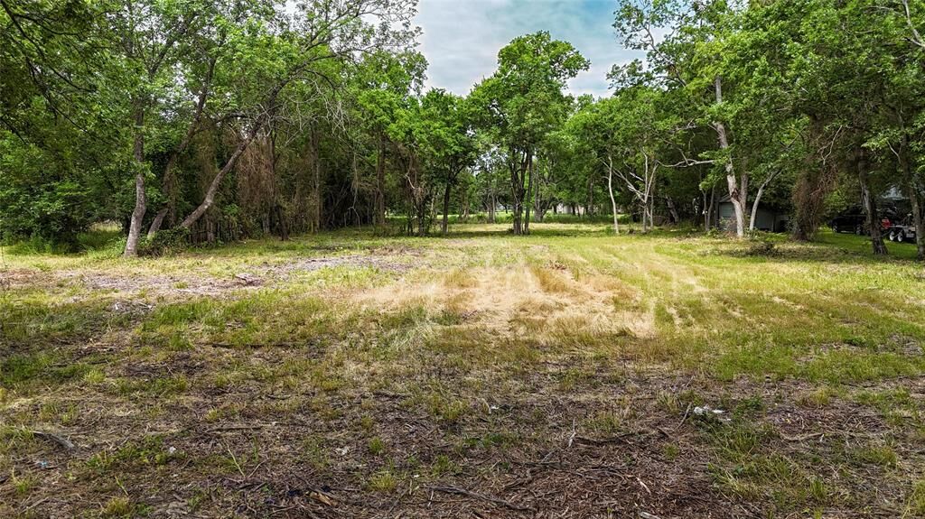 Property Photo:  1319 Cedar Street  TX 75418 