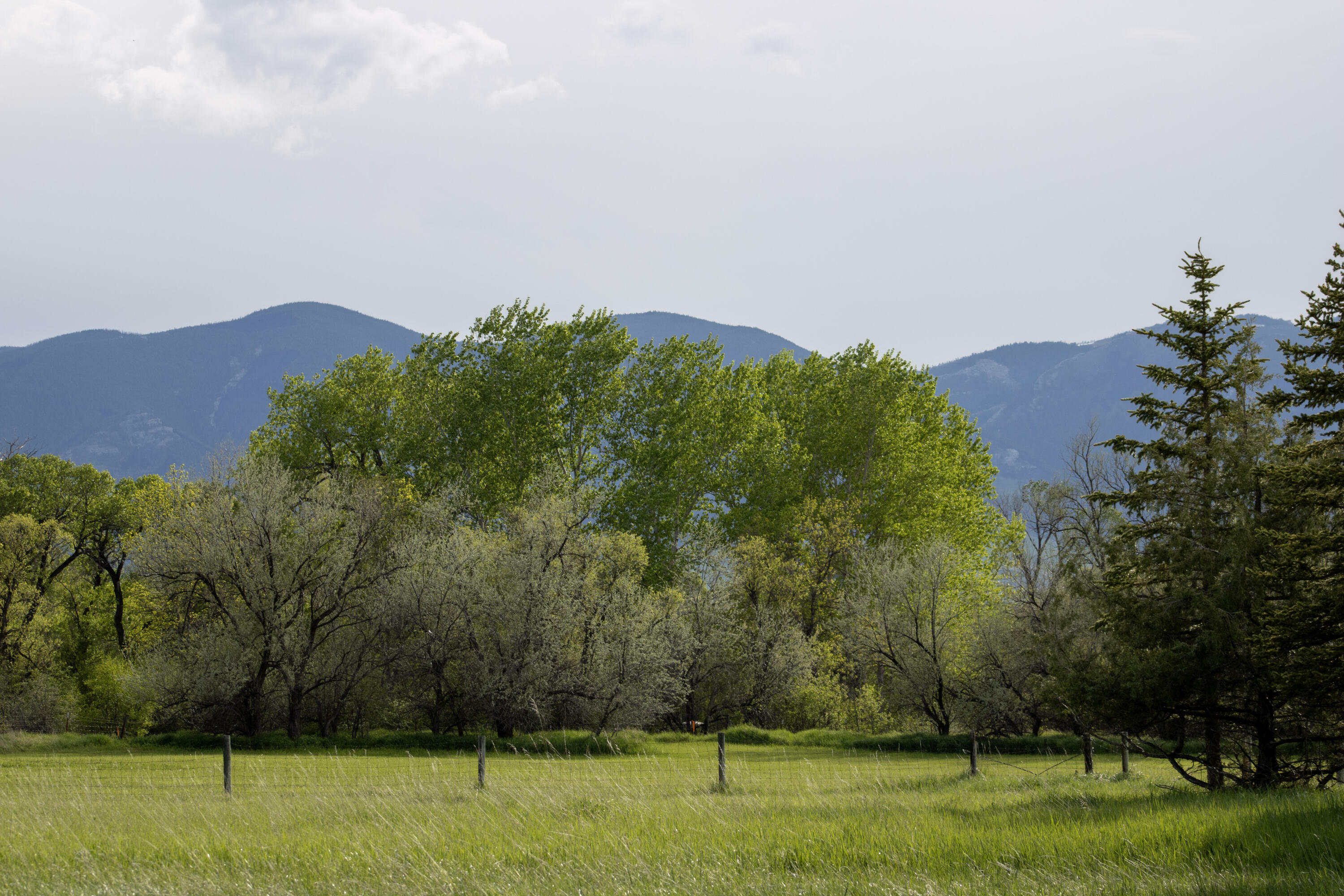 Property Photo: 12 Beaver Creek Road WY 82801