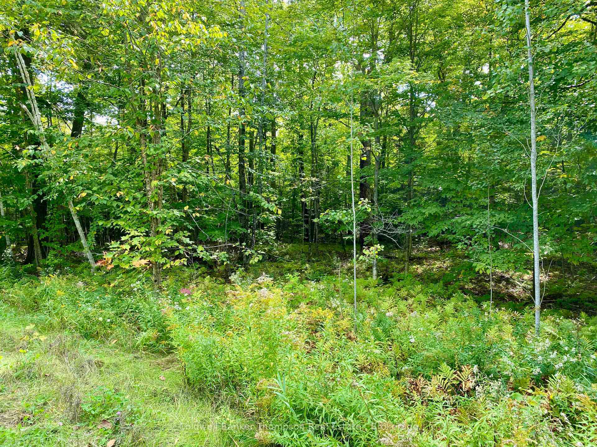 Property Photo:  0 Brown Lane  ON P0H 1S0 