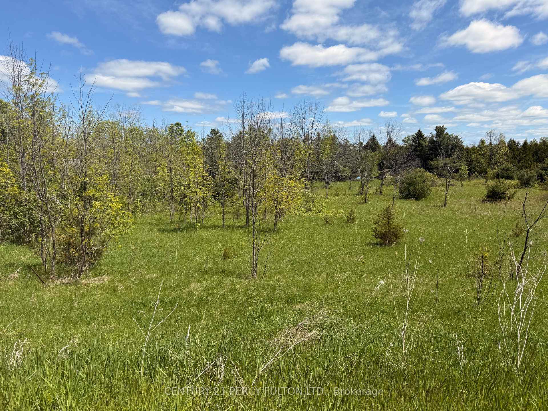 Photo de la propriété:  Lot 55 Country Rd 25 N/A  ON K0K 3K0 