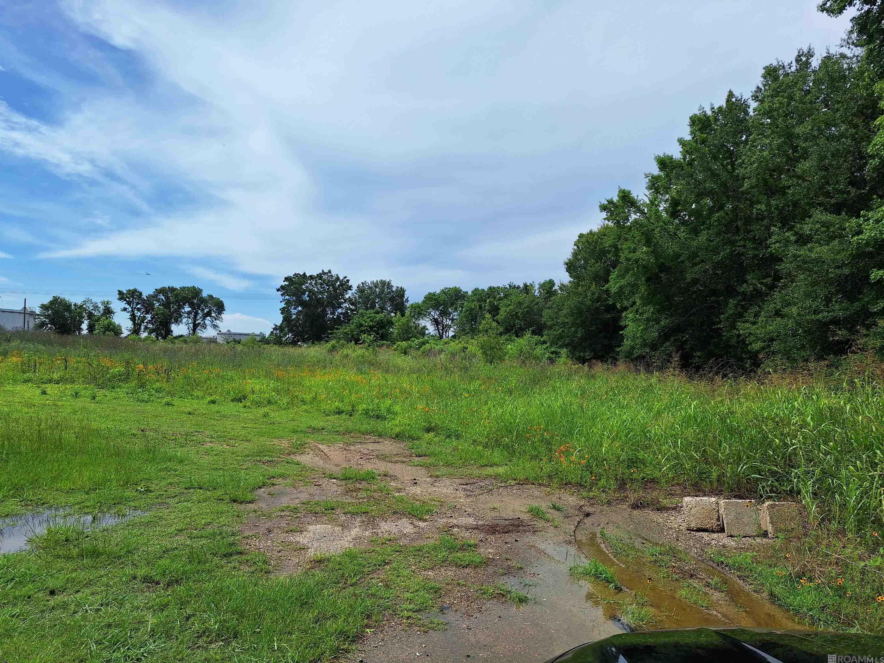 Property Photo:  2454 Gore Rd  LA 70807 
