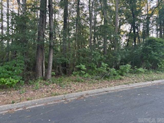 Property Photo:  Lot 12 Peppertree  AR 71701 
