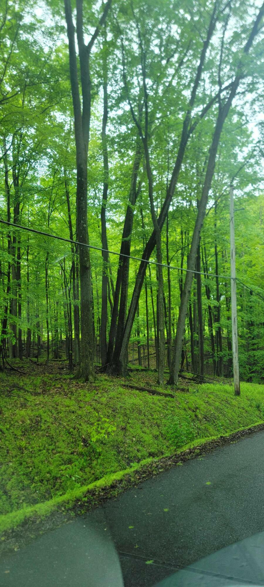 Property Photo: 10 Miramar Rd PA 15801