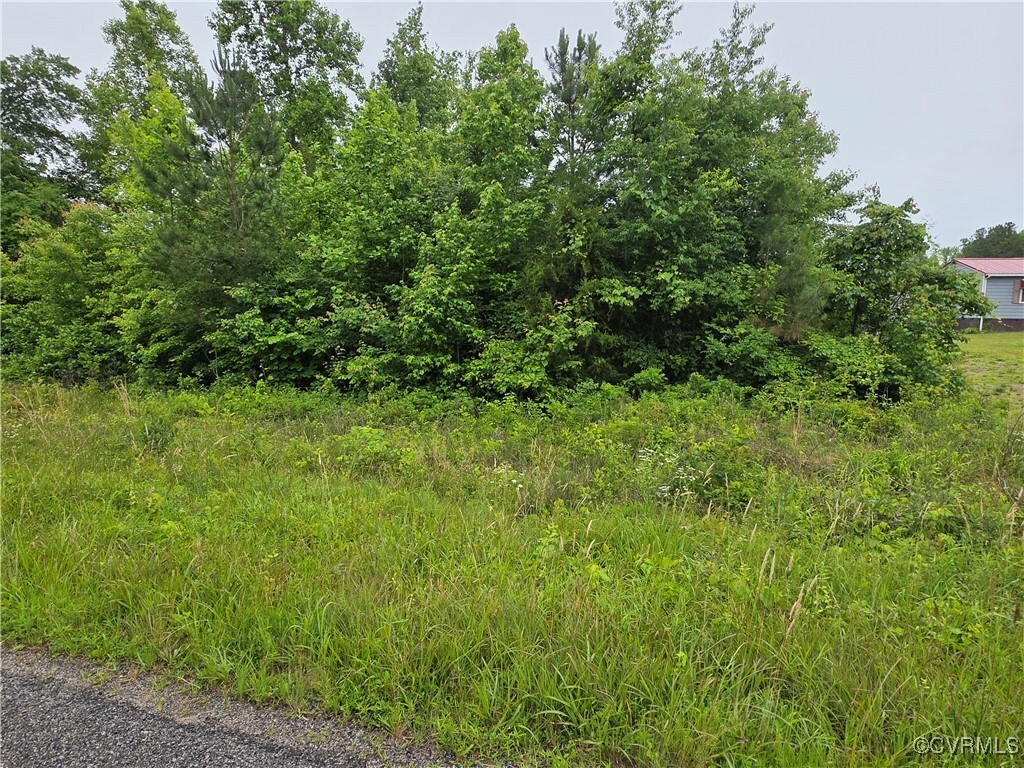 Property Photo: 00 Tbd Plank Road VA 23944