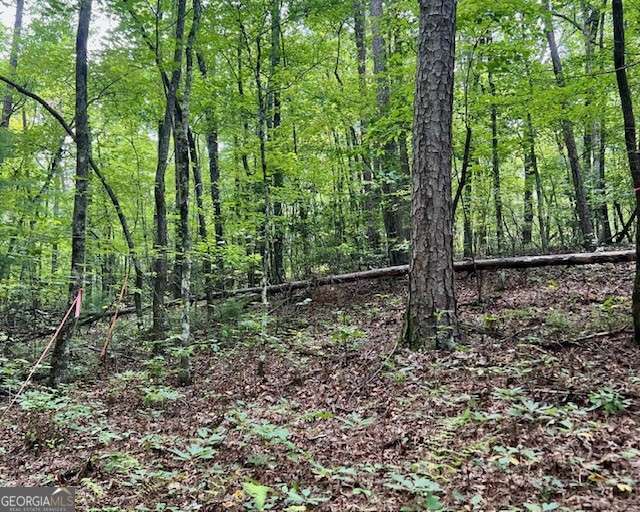 Property Photo: 0 Mountain View Lane GA 30555