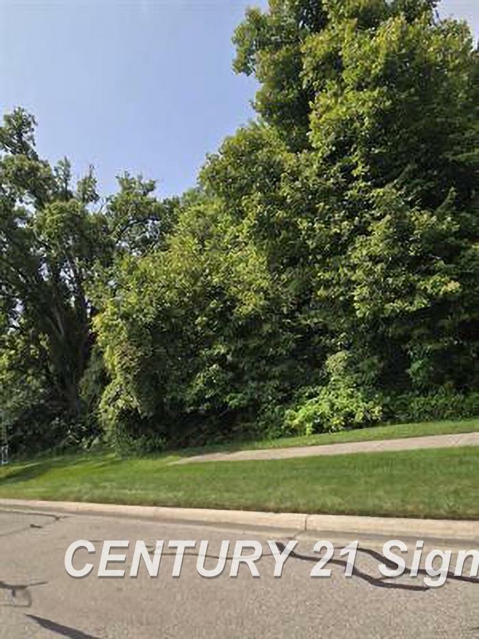 Property Photo: 0 Sawmill Boulevard MI 48603