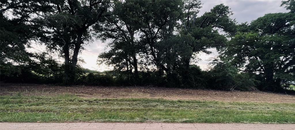 Property Photo:  Lot 4 County Road 1560  TX 75410 