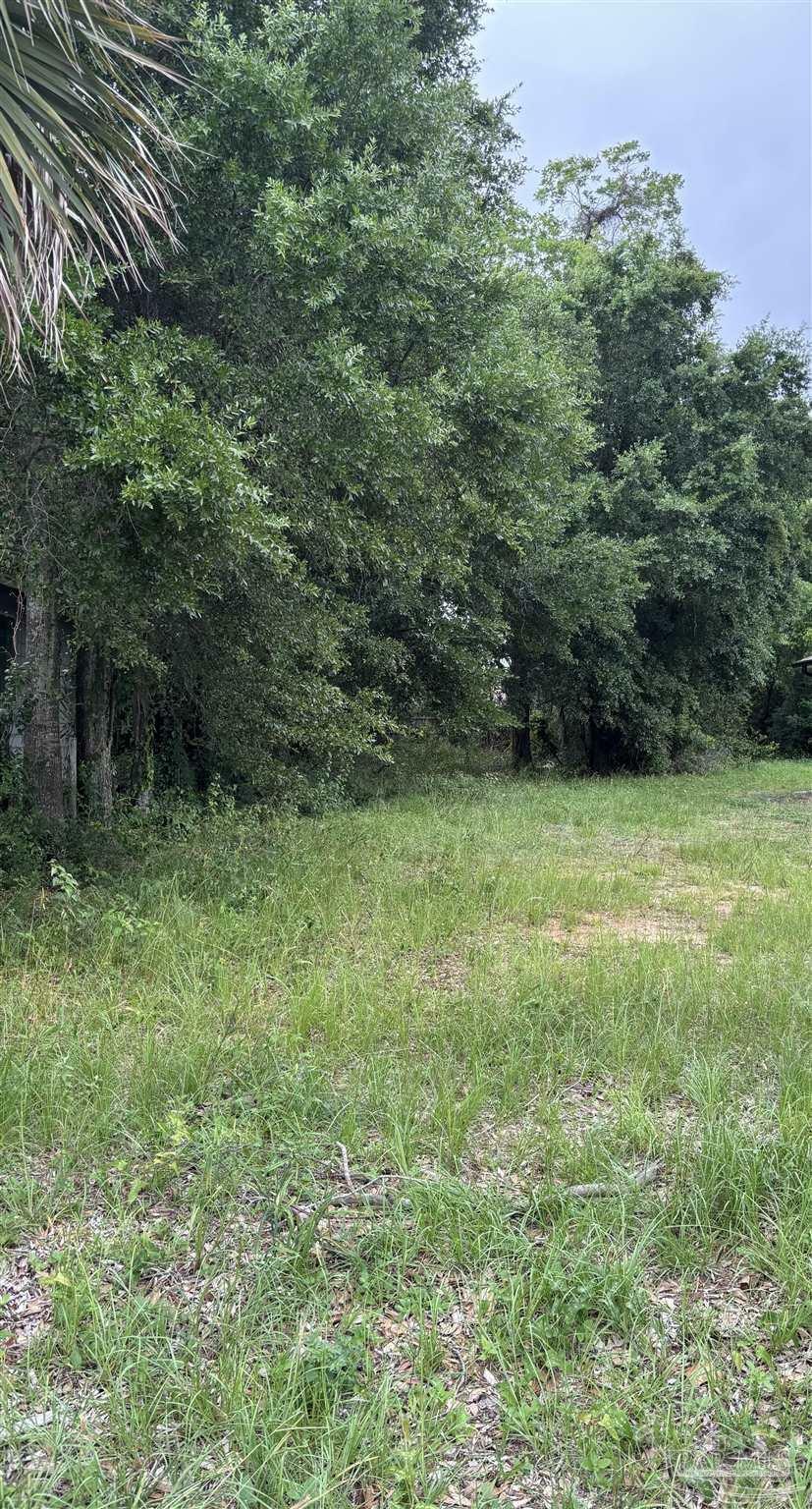 Property Photo: 200 Blk E Hatton St FL 32503