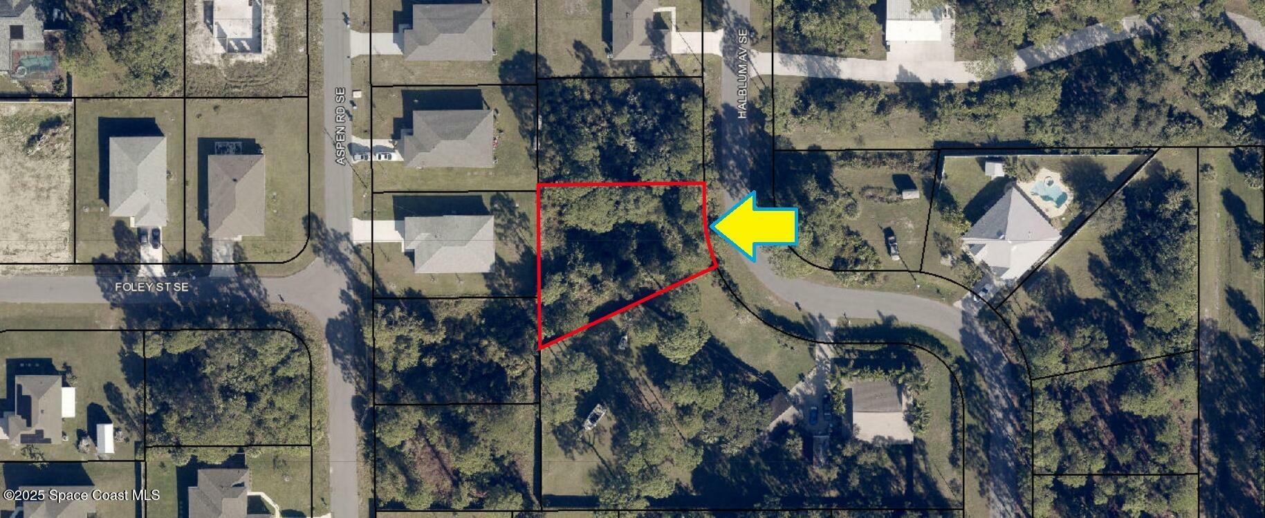 Property Photo: 3186 Halblum Avenue SE FL 32909