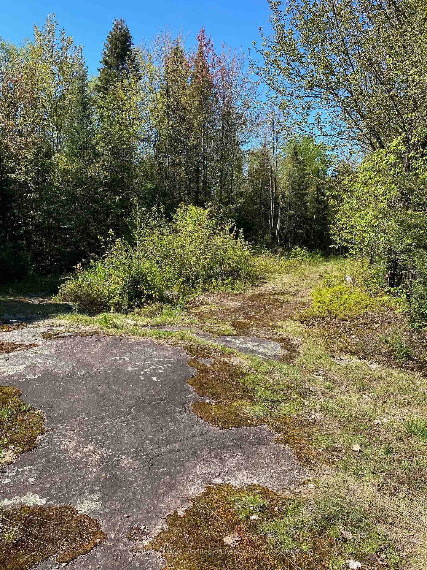Property Photo:  471 Weiler Line  ON P0H 2L0 