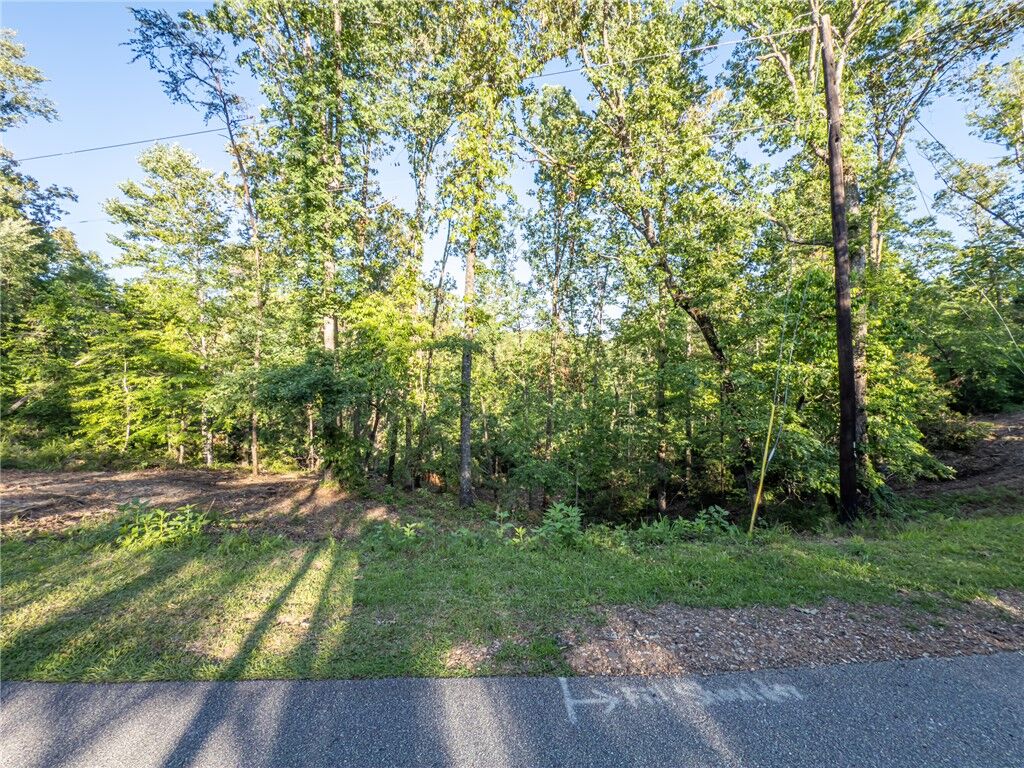 Property Photo:  Lot 21 Old Shallowford Bridge Road  SC 29685 