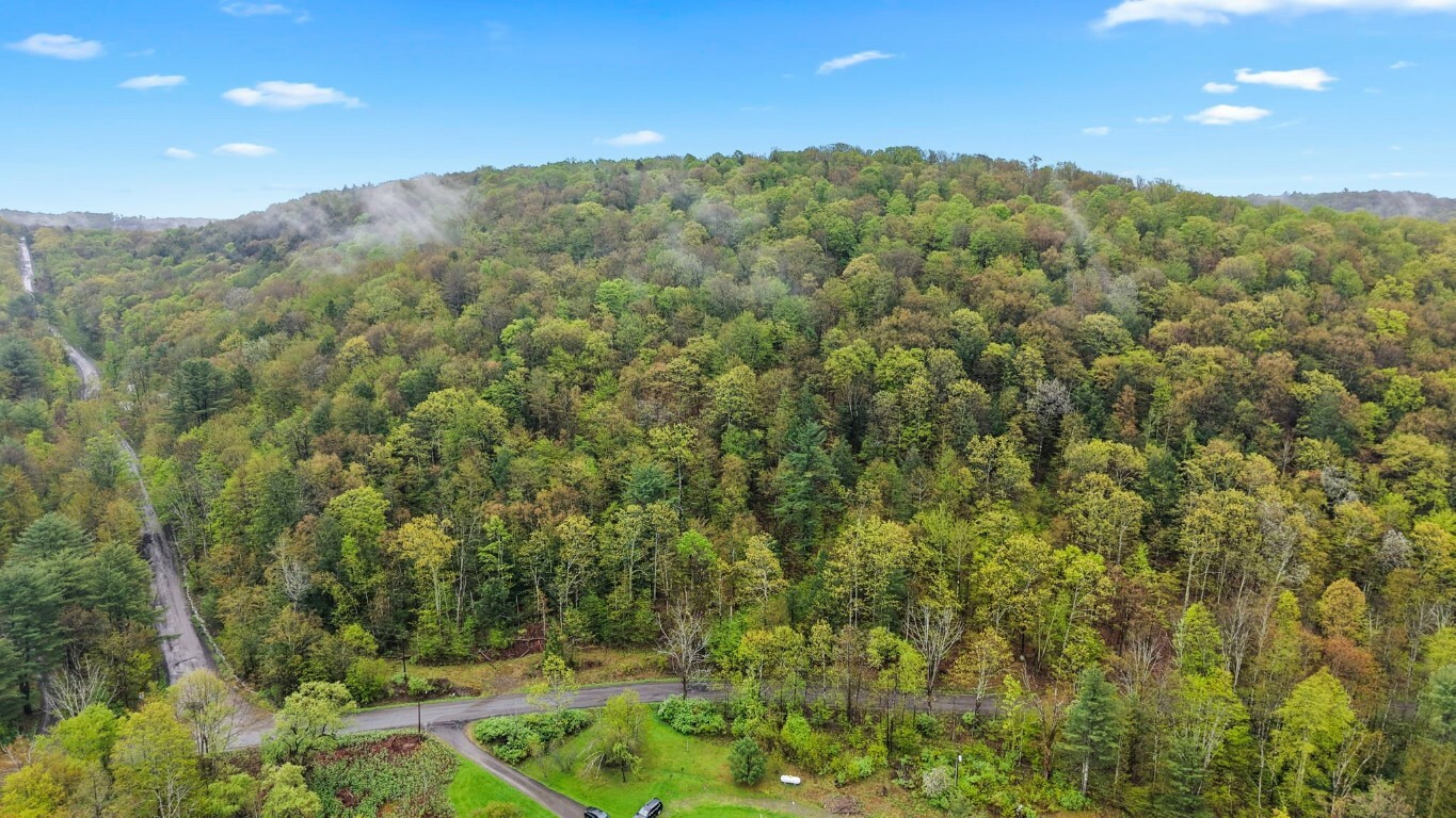 Property Photo: 0 Phillips Road NY 13865