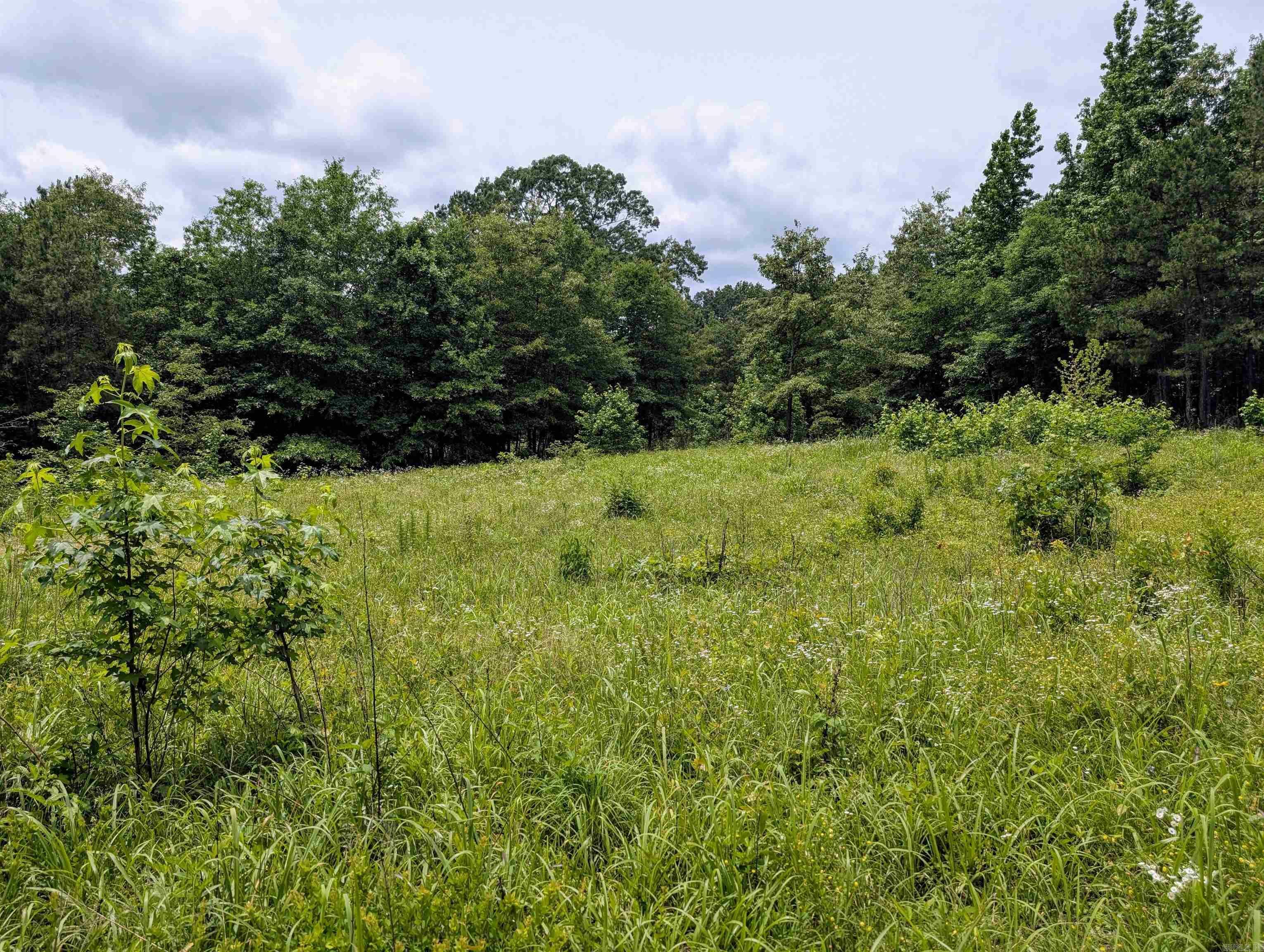 Property Photo: 533 Caney Creek Loop OK 74957