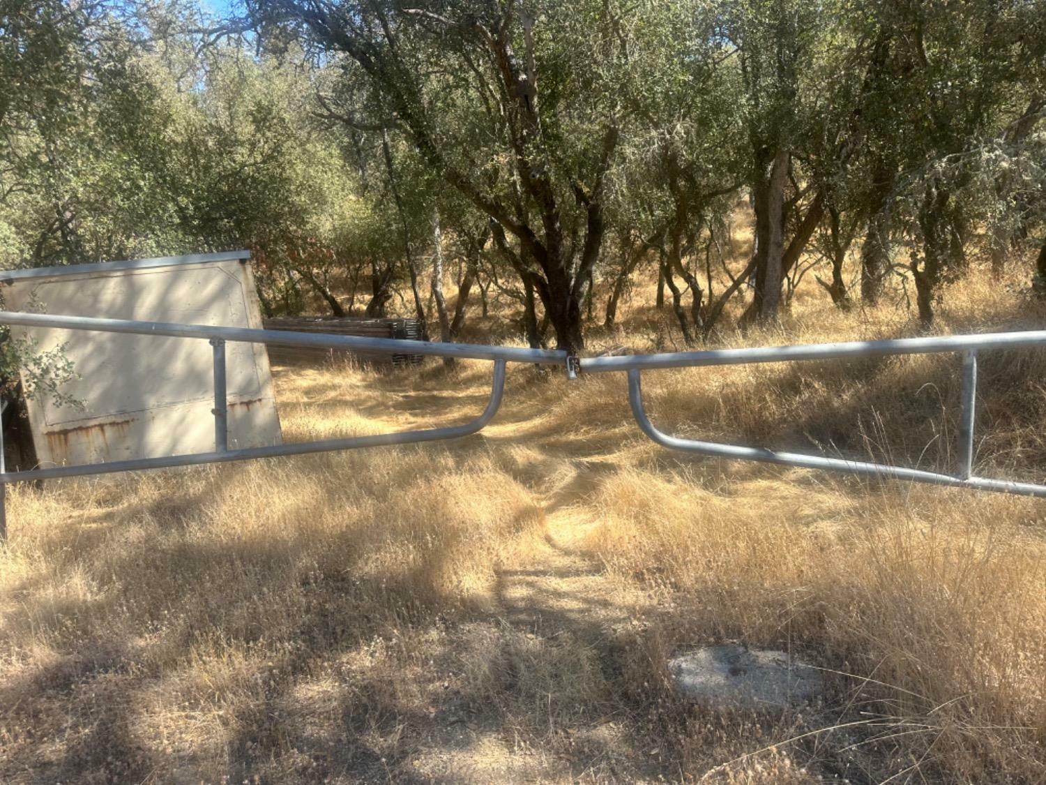 Property Photo: 3906 Highway 49 CA 95245