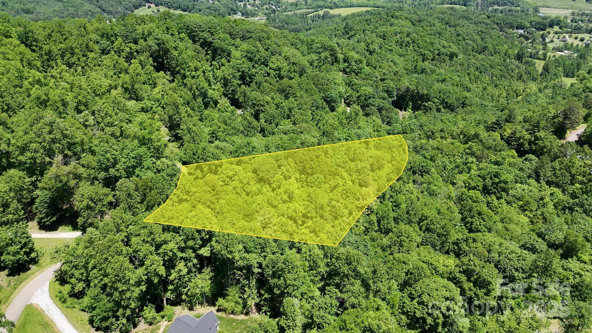Property Photo:  0 Elkhorn Ridge Drive 46  NC 28734 