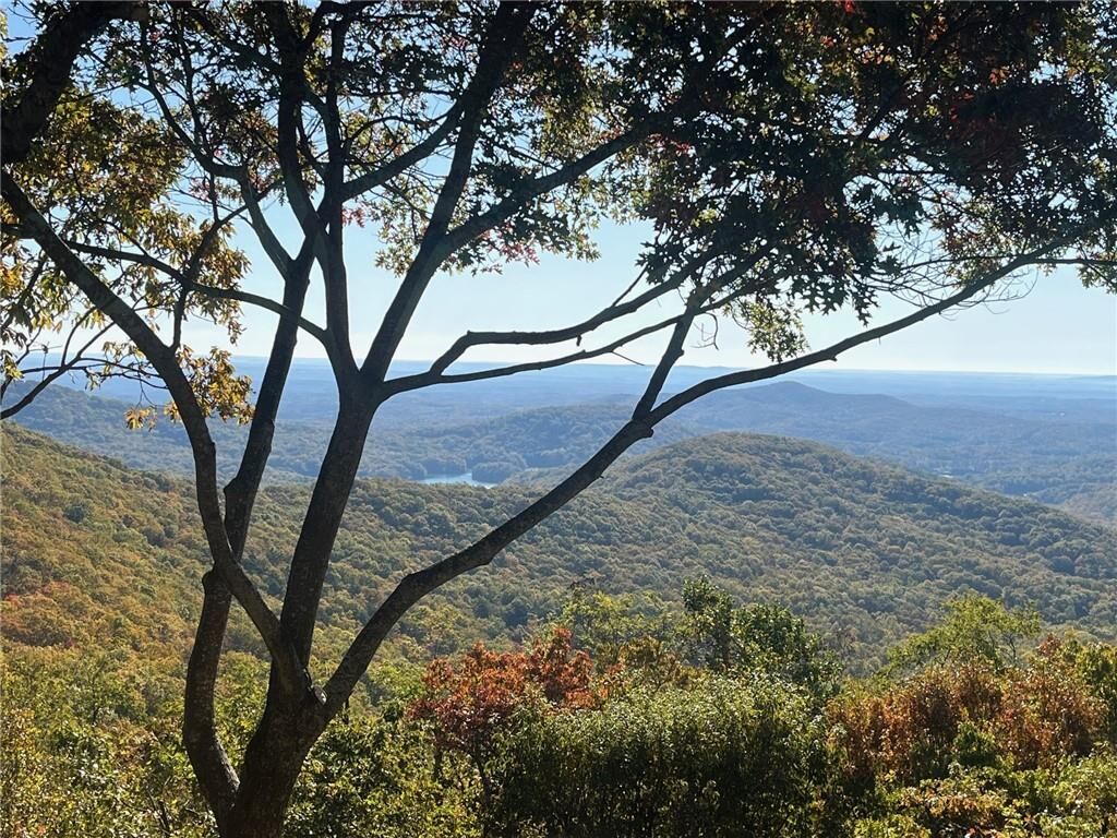 Property Photo:  79 Strawberry Way  GA 30143 