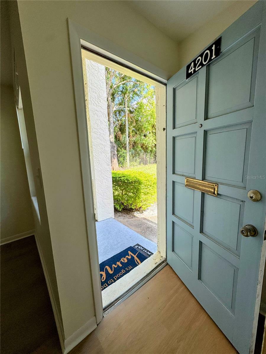 Property Photo: 4201 La Dega Court FL 33611