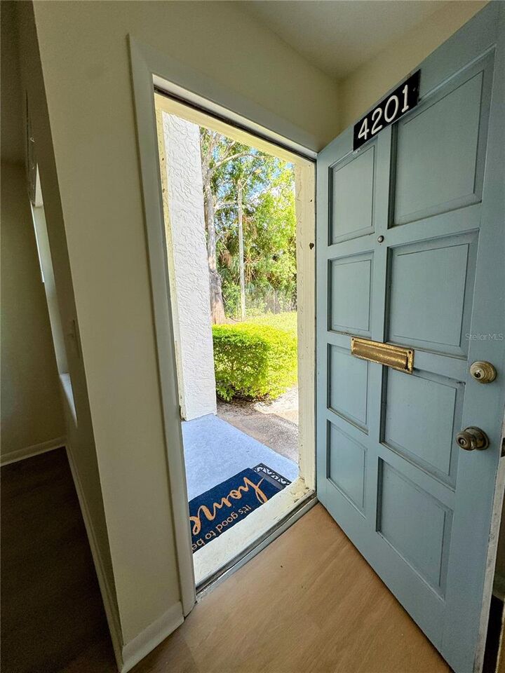 4201 La Dega Court  Tampa FL 33611 photo