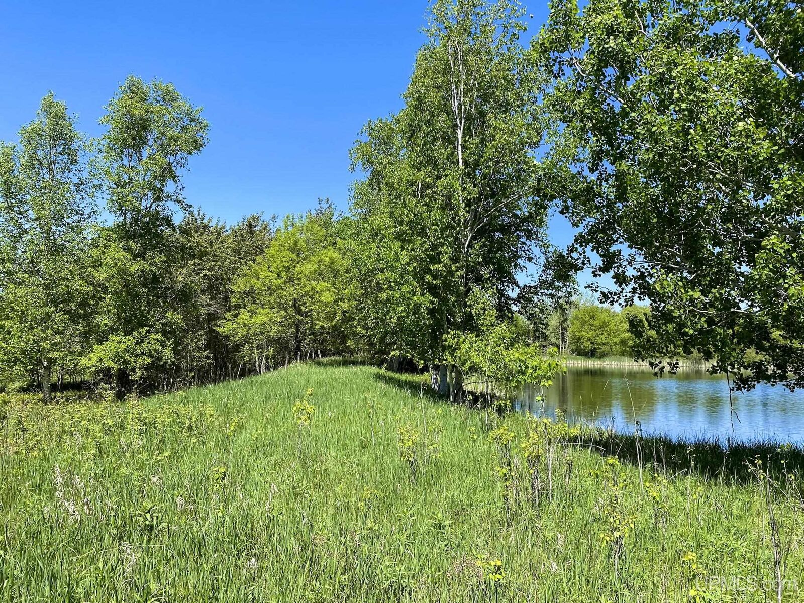 Property Photo:  16835 Skanee Road  MI 49946 