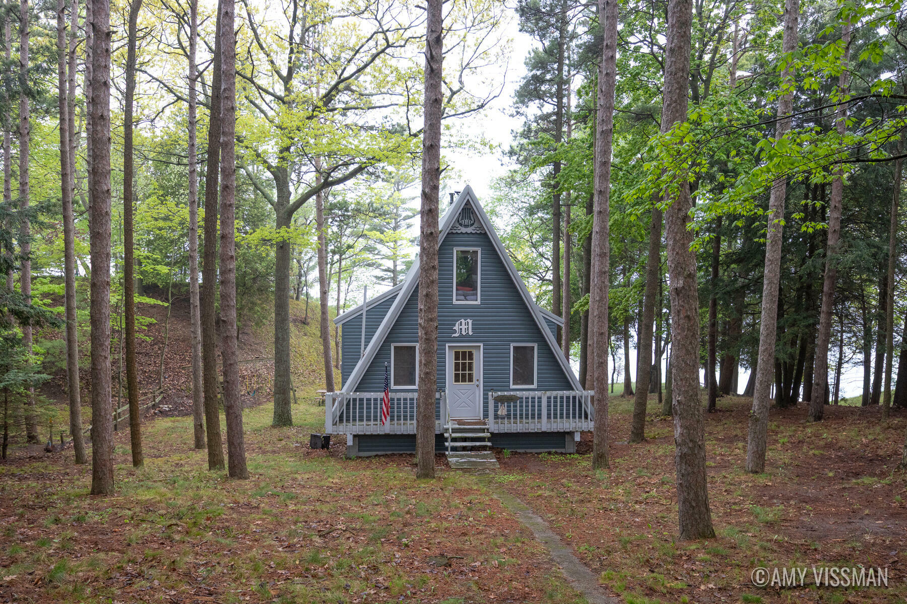 Property Photo:  10807 Old Freesoil Road  MI 49660 