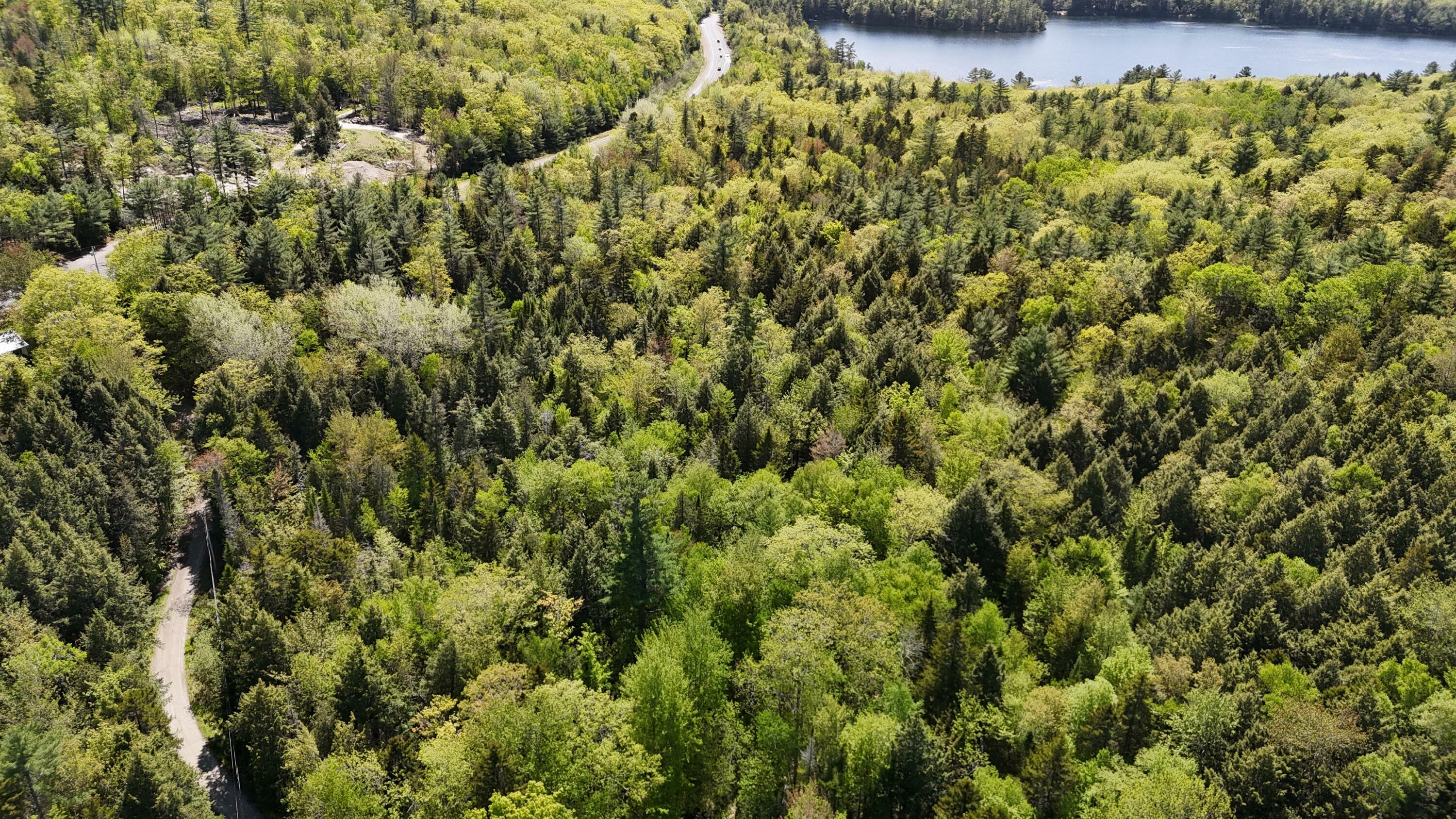 Property Photo:  0 Map 7/2 Acadia Highway  ME 04472 