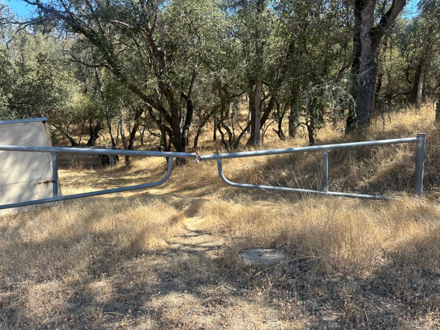 Property Photo: 3906 Highway 49 CA 95245
