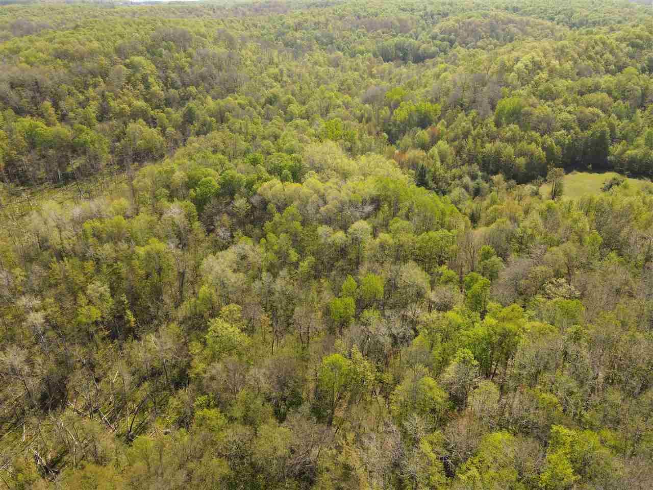 Tbd Mt. Bliss  East Jordan MI 49727 photo