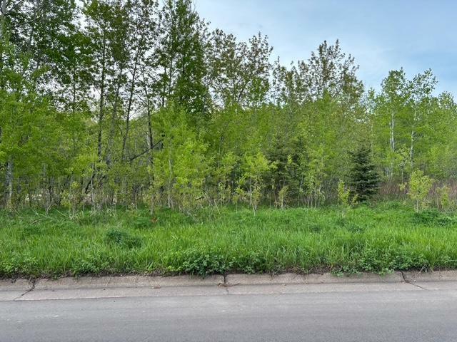 Property Photo: Xx W Myrtle St MN 55811