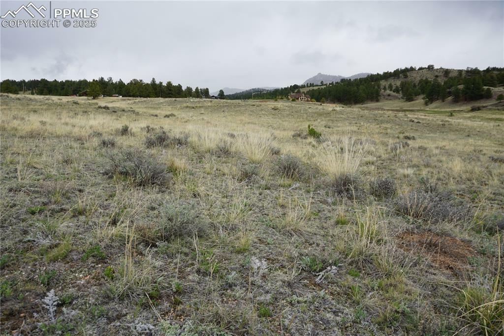 Property Photo: 506 Forge Drive CO 80816