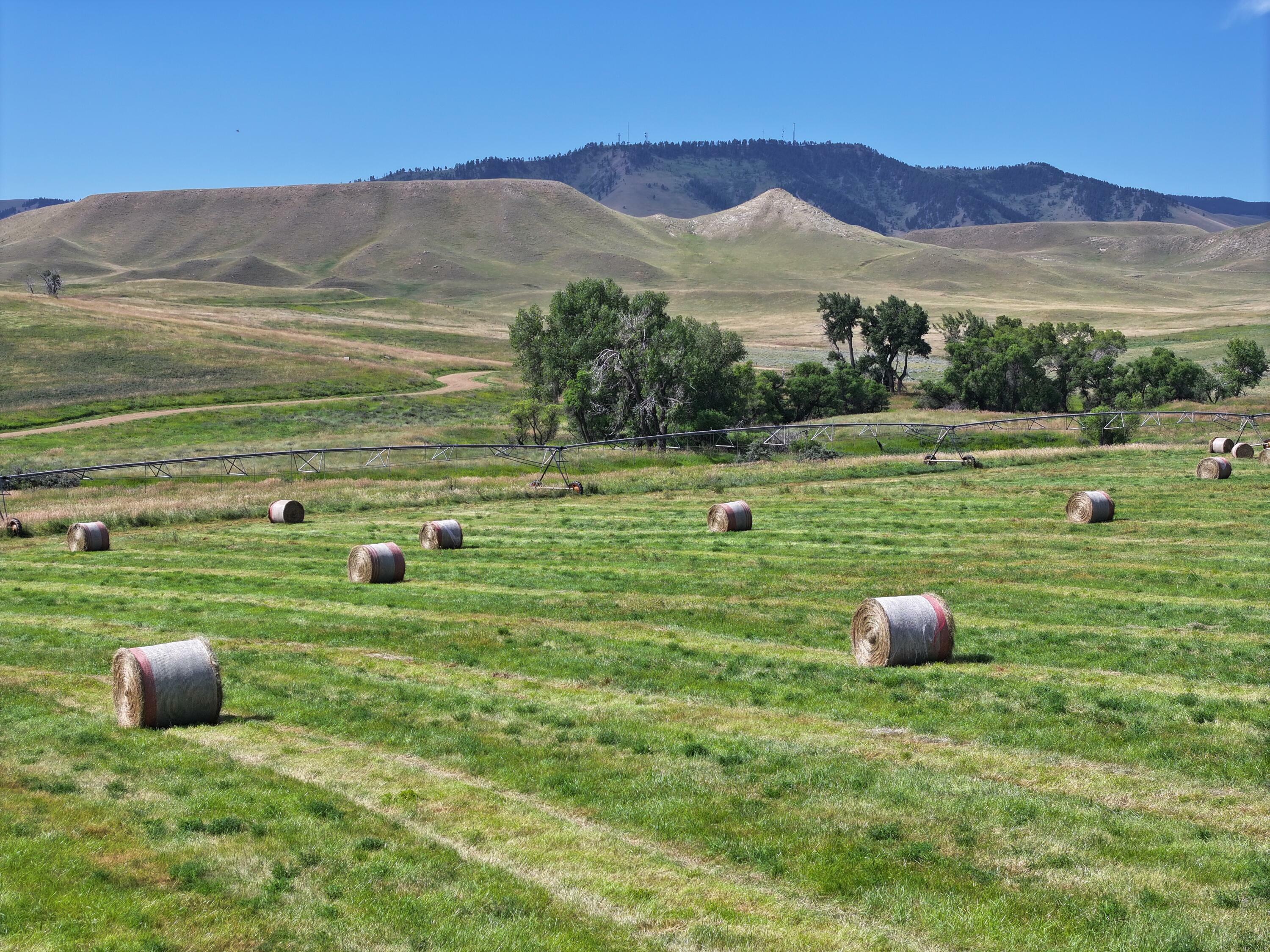 Property Photo: 77 Sand Creek Ranch Road WY 82834