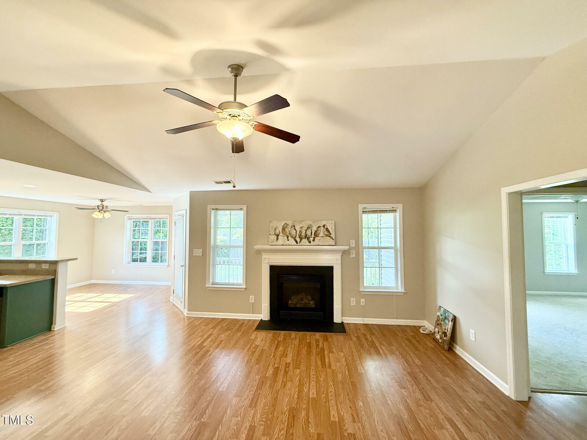 Property Photo:  411 Joneshaven Drive  NC 27526 